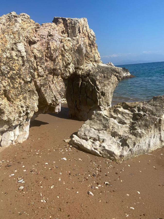 Villa Delfini Χράνοι Εξωτερικό φωτογραφία