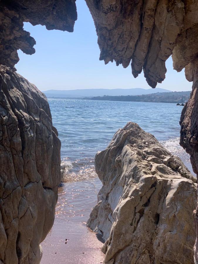 Villa Delfini Χράνοι Εξωτερικό φωτογραφία