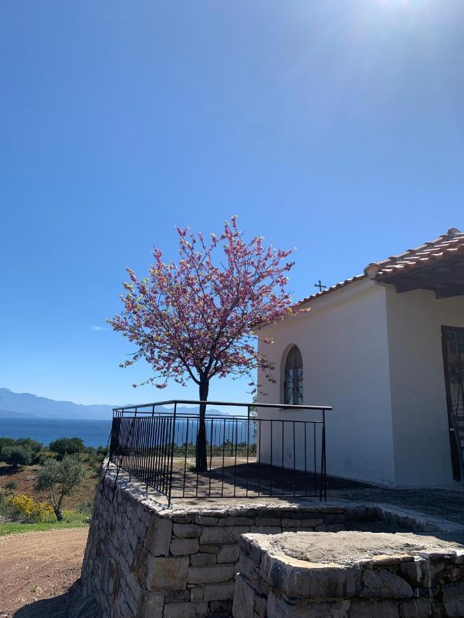 Villa Delfini Χράνοι Εξωτερικό φωτογραφία