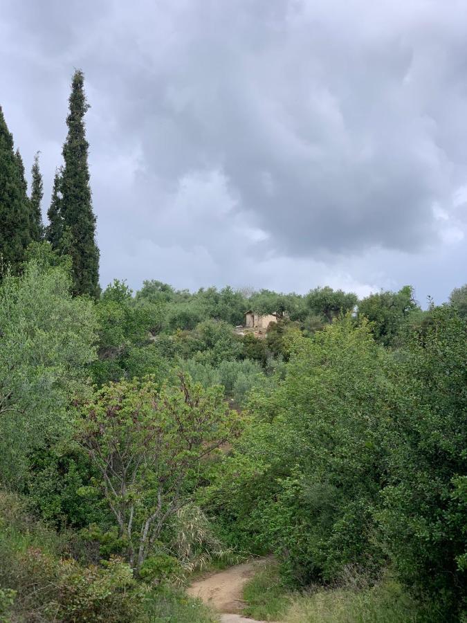 Villa Delfini Χράνοι Εξωτερικό φωτογραφία